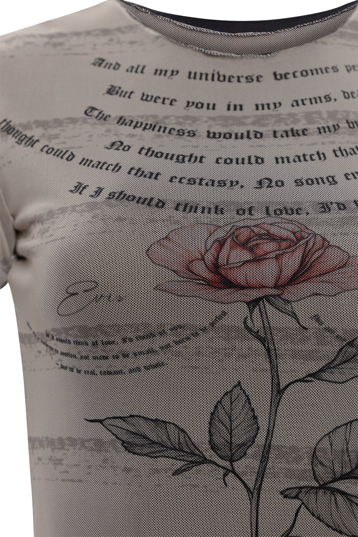 Short Mesh Dress With Roses